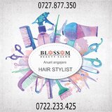 Hairstylist si cosmeticiana